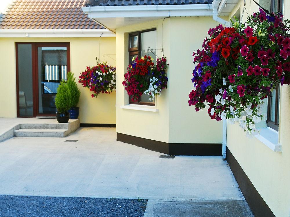 ホテル Hillview House Lusk エクステリア 写真